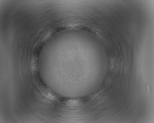 X0000052560236200507081644