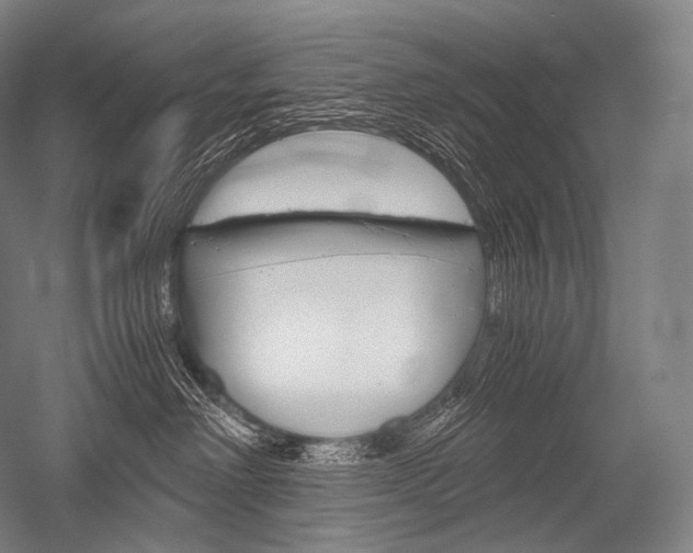 X0000052560238200507081644