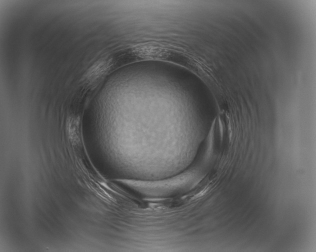 X0000052560239200507081644