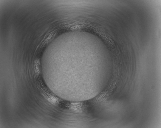 X0000052560240200507081644