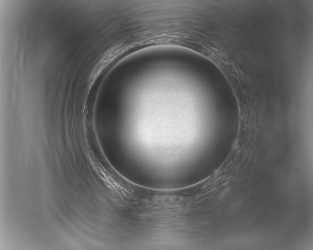 X0000052560242200507081643