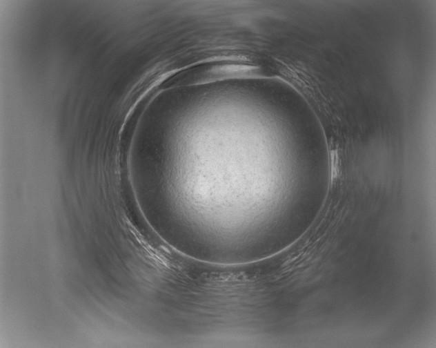 X0000052560243200507081643