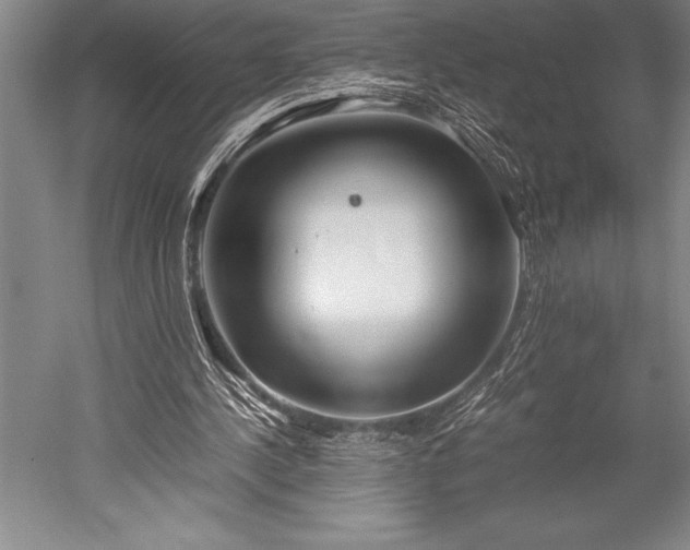 X0000052560244200507081643