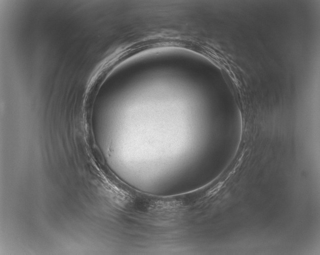 X0000052560245200507081643