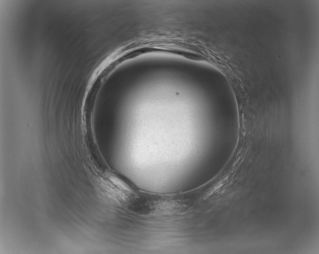 X0000052560246200507081643