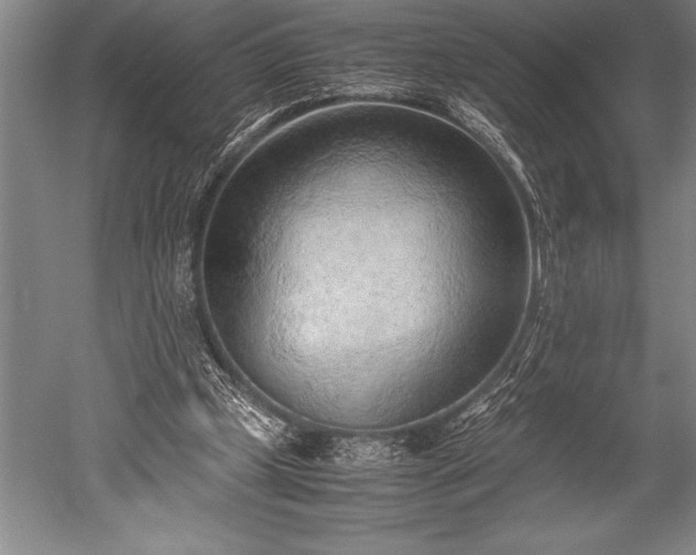 X0000052560249200507081643