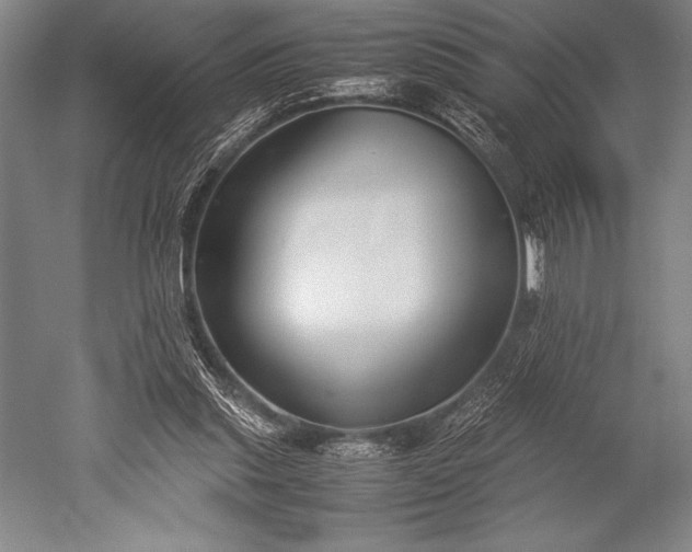 X0000052560253200507081643