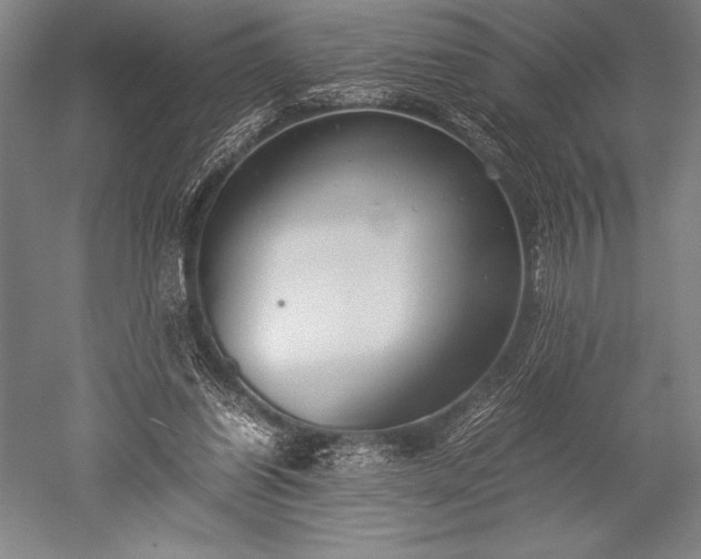 X0000052560254200507081643