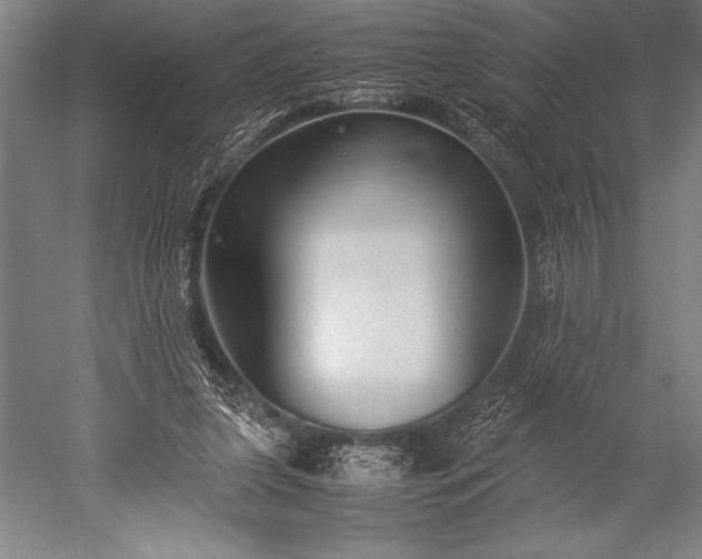 X0000052560255200507081643