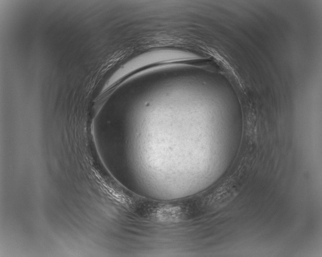 X0000052560257200507081643