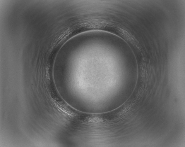 X0000052560258200507081643
