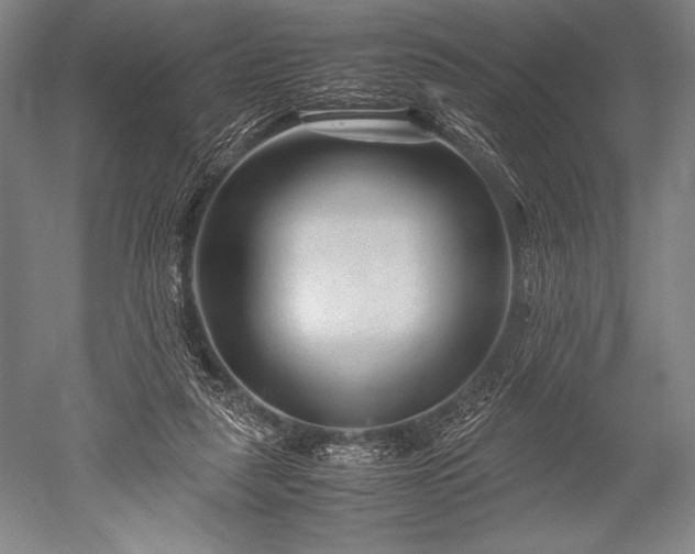 X0000052560259200507081643
