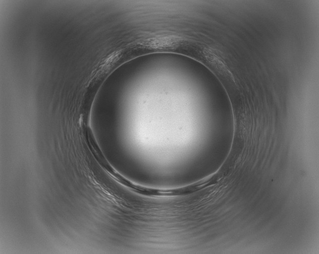 X0000052560260200507081643