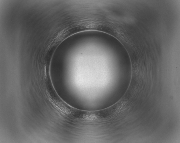 X0000052560262200507081643