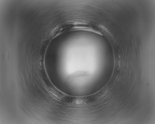 X0000052560264200507081643