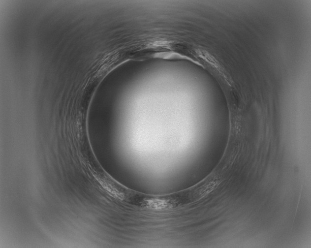 X0000052560265200507081643