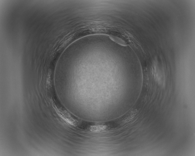 X0000052560266200507081643