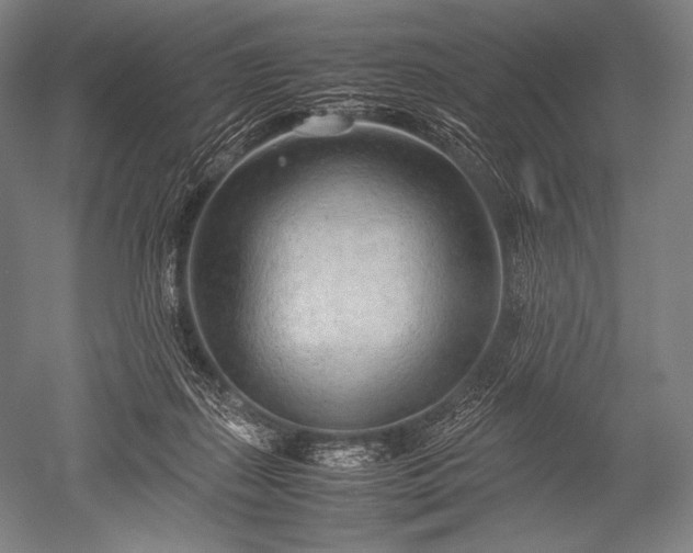 X0000052560267200507081643