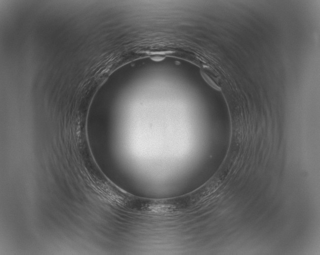 X0000052560268200507081643