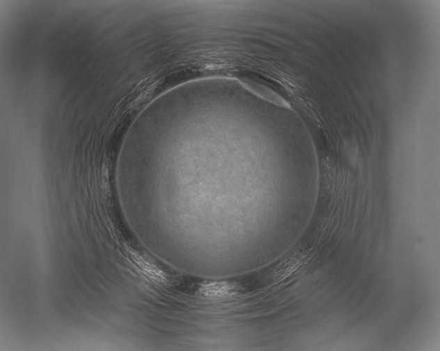 X0000052560269200507081643