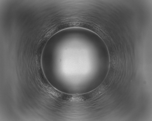 X0000052560270200507081643