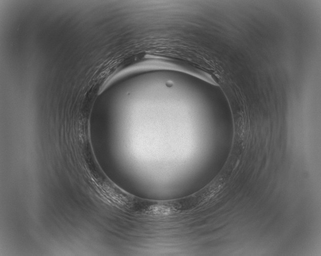 X0000052560272200507081643