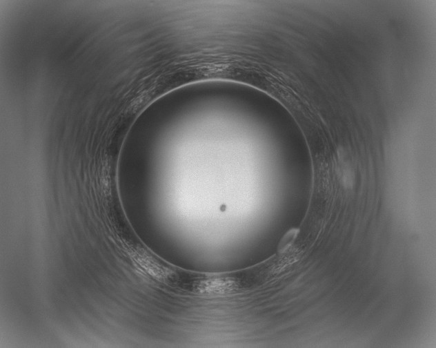 X0000052560274200507081643