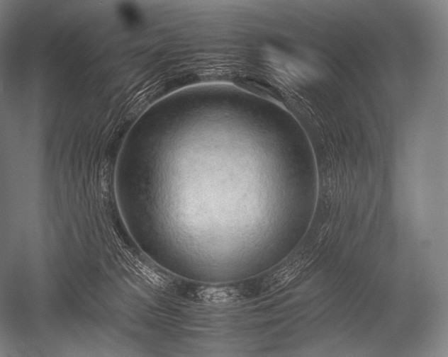 X0000052560277200507081643