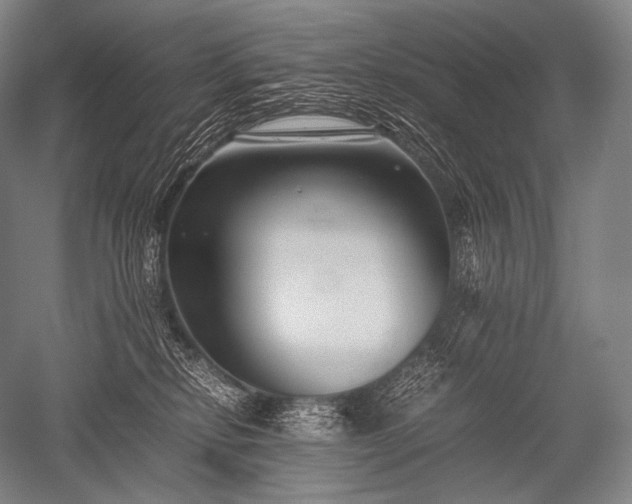 X0000052560278200507081643