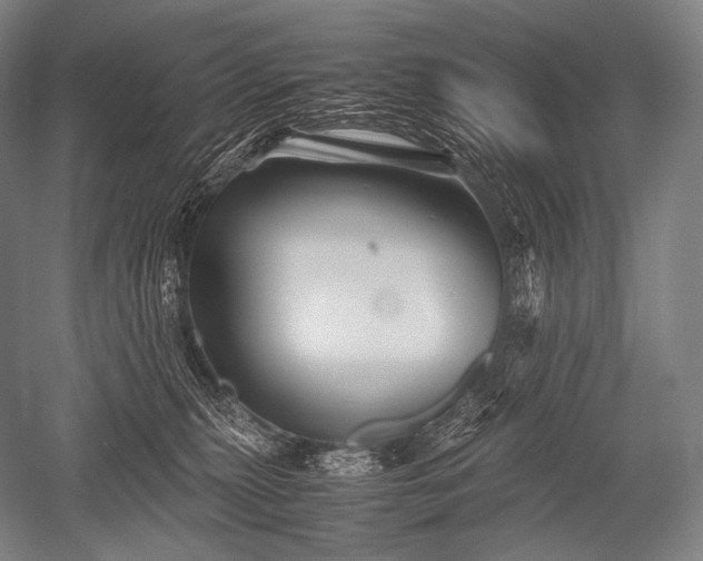 X0000052560279200507081643