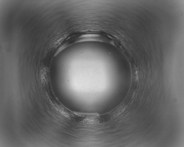 X0000052560280200507081643