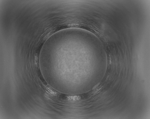 X0000052560281200507081643