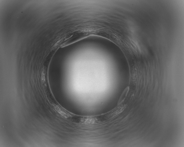 X0000052560282200507081643