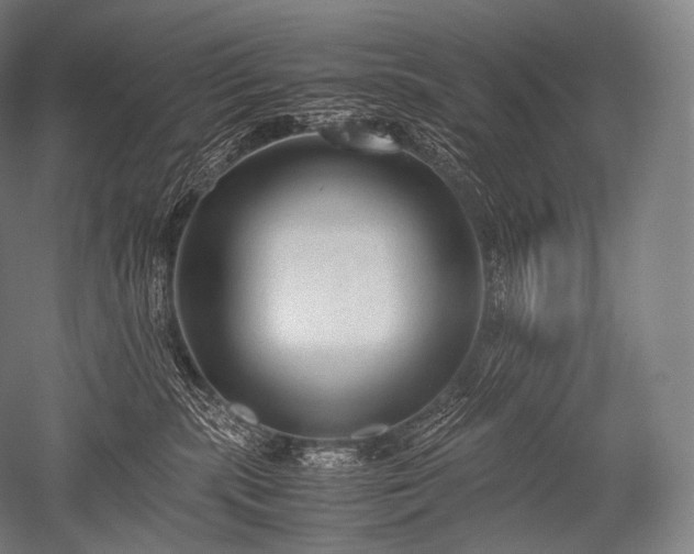 X0000052560283200507081643