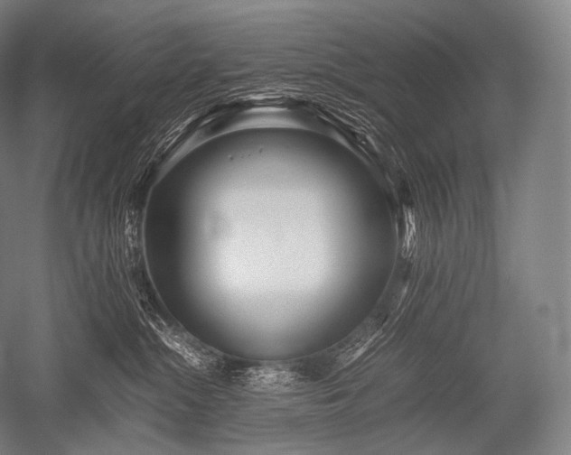 X0000052560284200507081643