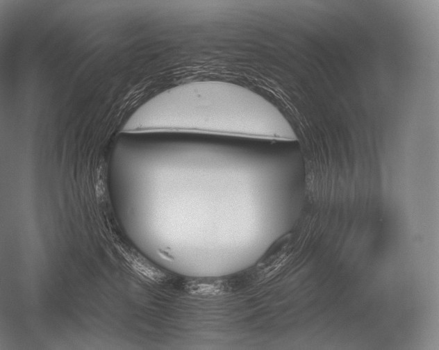 X0000052560285200507081643