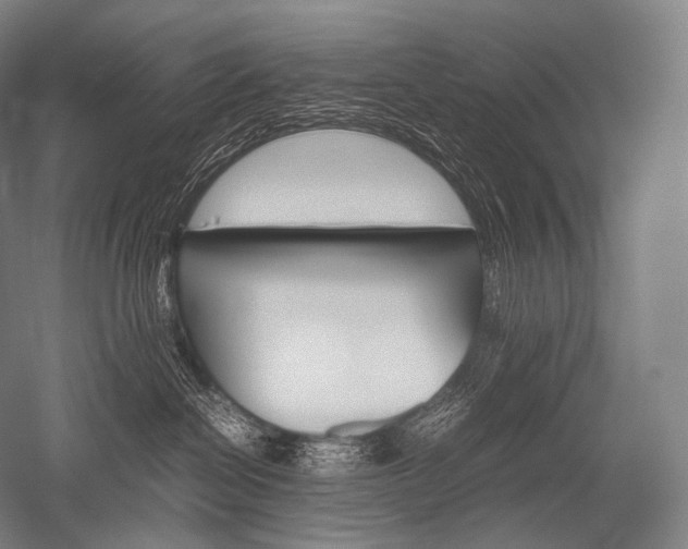 X0000052560286200507081643