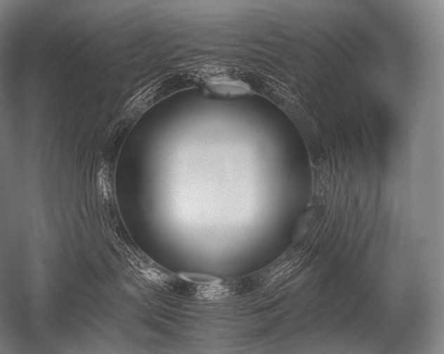 X0000052560287200507081644