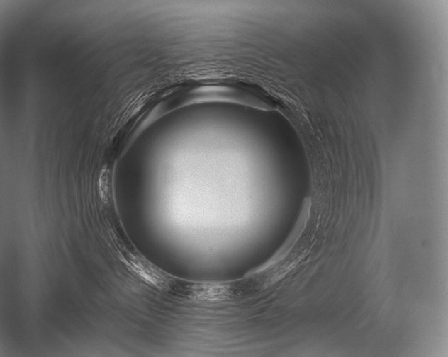 X0000052560288200507081644