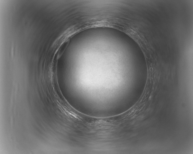 X0000052560290200507081643