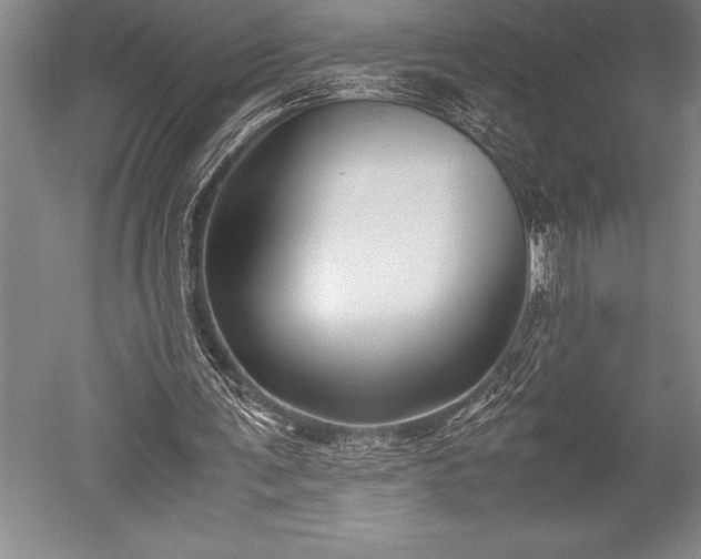 X0000052560291200507081643