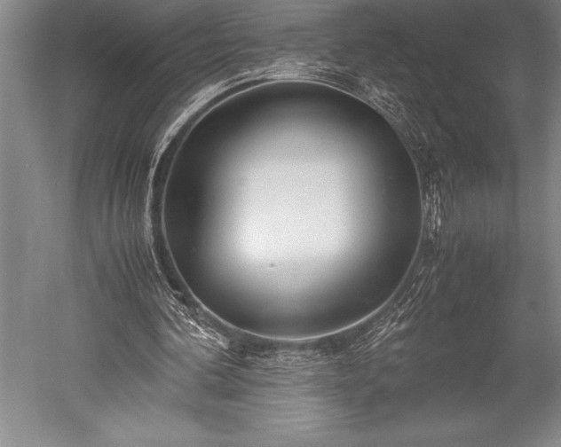 X0000052560292200507081643