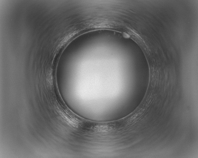 X0000052560298200507081643