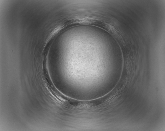 X0000052560299200507081643