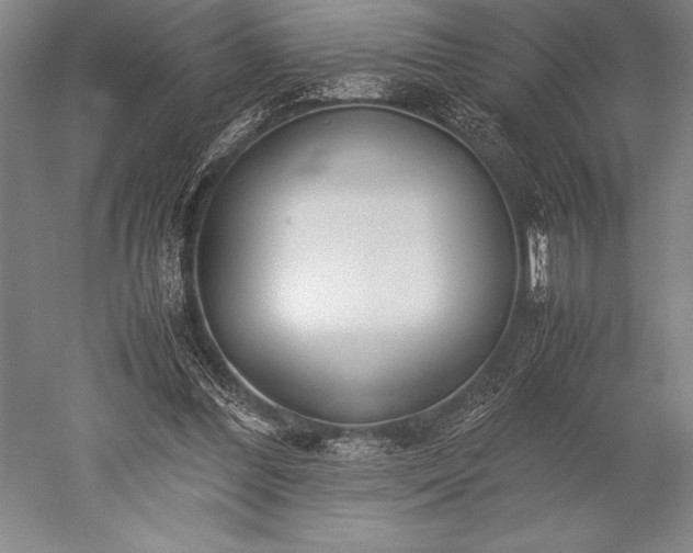 X0000052560300200507081643