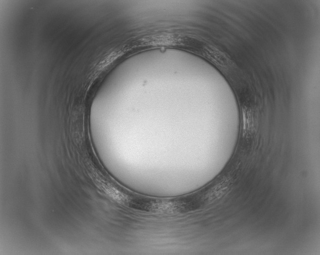 X0000052560301200507081643