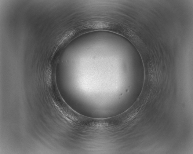 X0000052560304200507081642