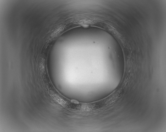 X0000052560305200507081642