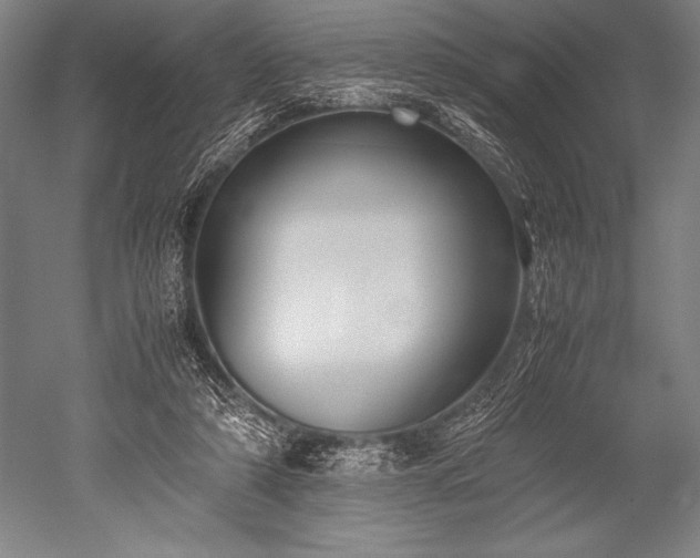 X0000052560306200507081642