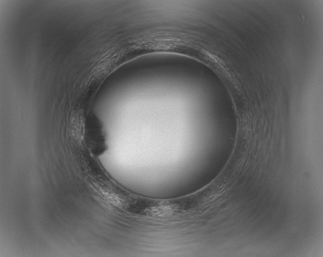 X0000052560307200507081642